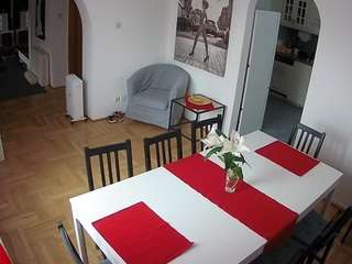 voyeurcam-julmodels-dining