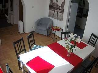 voyeurcam-julmodels-dining