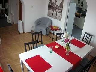 voyeurcam-julmodels-dining