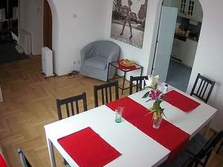voyeurcam-julmodels-dining