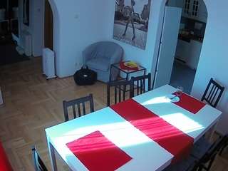 voyeurcam-julmodels-dining