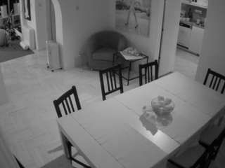 voyeurcam-julmodels-dining webcam