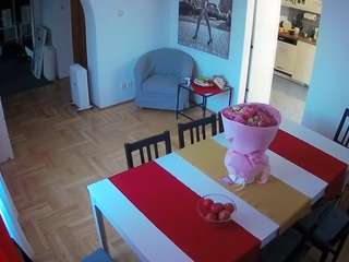voyeurcam-julmodels-dining