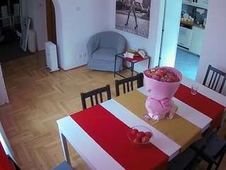 voyeurcam-julmodels-dining