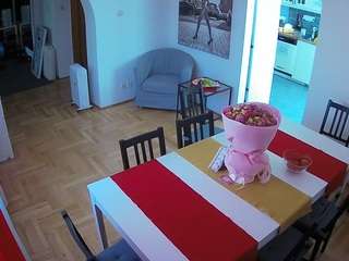 voyeurcam-julmodels-dining