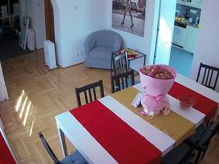 voyeurcam-julmodels-dining