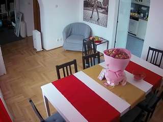voyeurcam-julmodels-dining