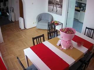 voyeurcam-julmodels-dining