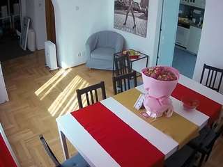 voyeurcam-julmodels-dining