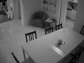 voyeurcam-julmodels-dining