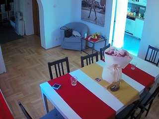 voyeurcam-julmodels-dining