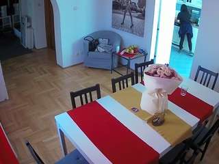 voyeurcam-julmodels-dining webcam