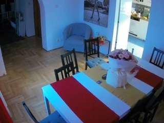 voyeurcam-julmodels-dining camsoda