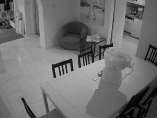 voyeurcam-julmod... Live Webcam on CamSoda