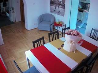 voyeurcam-julmodels-dining camsoda