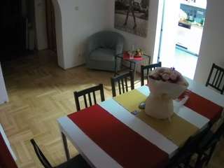 voyeurcam-julmodels-dining