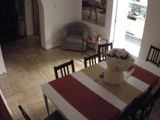 voyeurcam-julmodels-dining