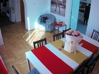 voyeurcam-julmodels-dining