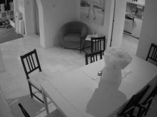 voyeurcam-julmodels-dining from camsoda