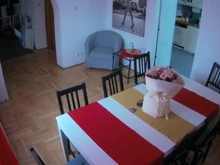 voyeurcam-julmodels-dining Live Webcam on CamSoda