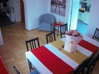 voyeurcam-julmodels-dining camsoda