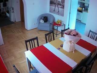 voyeurcam-julmodels-dining camsoda