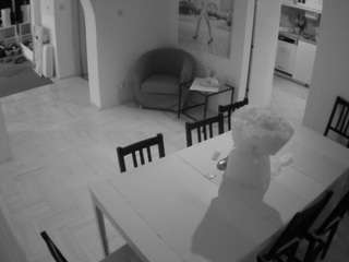 voyeurcam-julmodels-dining