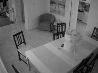 voyeurcam-julmodels-dining camsoda