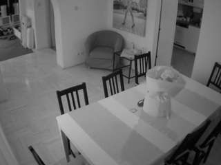 voyeurcam-julmodels-dining camsoda