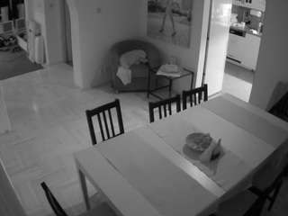 voyeurcam-julmodels-dining