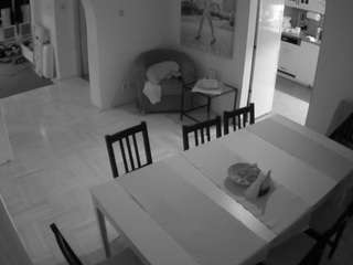 voyeurcam-julmodels-dining