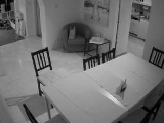 voyeurcam-julmodels-dining camsoda