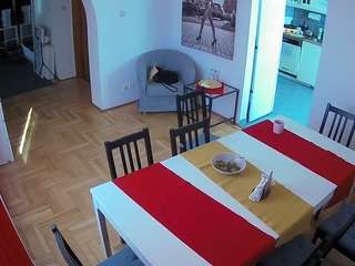 voyeurcam-julmodels-dining camsoda