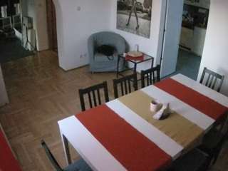 voyeurcam-julmodels-dining camsoda