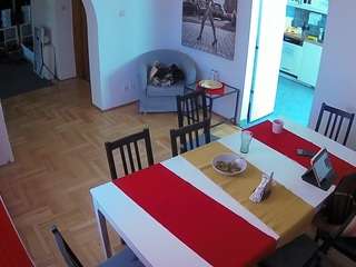 voyeurcam-julmodels-dining camsoda