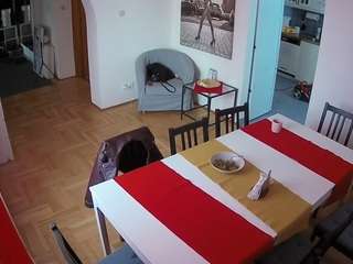 voyeurcam-julmodels-dining camsoda