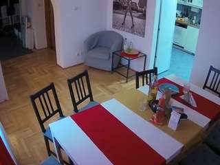 voyeurcam-julmodels-dining