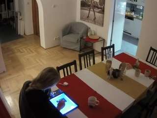 voyeurcam-julmodels-dining webcam model