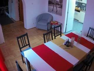 voyeurcam-julmodels-dining