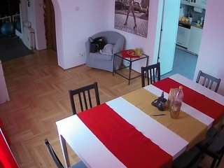 voyeurcam-julmodels-dining camsoda