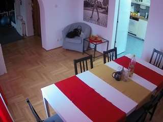 Julmodels Dining Room