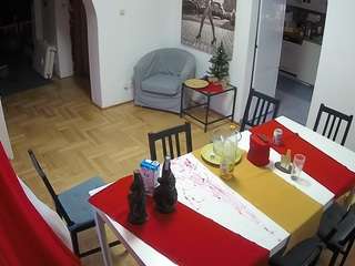 voyeurcam-julmodels-dining
