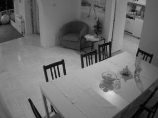 voyeurcam-julmodels-dining