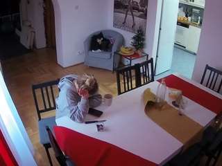 Julmodels Dining Room