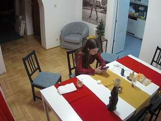 Julmodels Dining Room