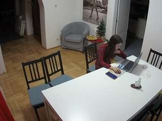 Julmodels Dining Room