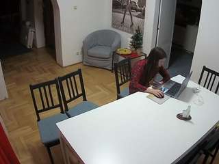 Julmodels Dining Room