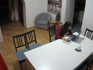 Julmodels Dining Room