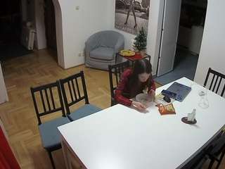 Julmodels Dining Room