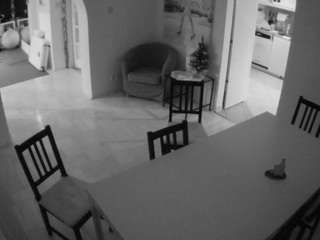 Julmodels Dining Room